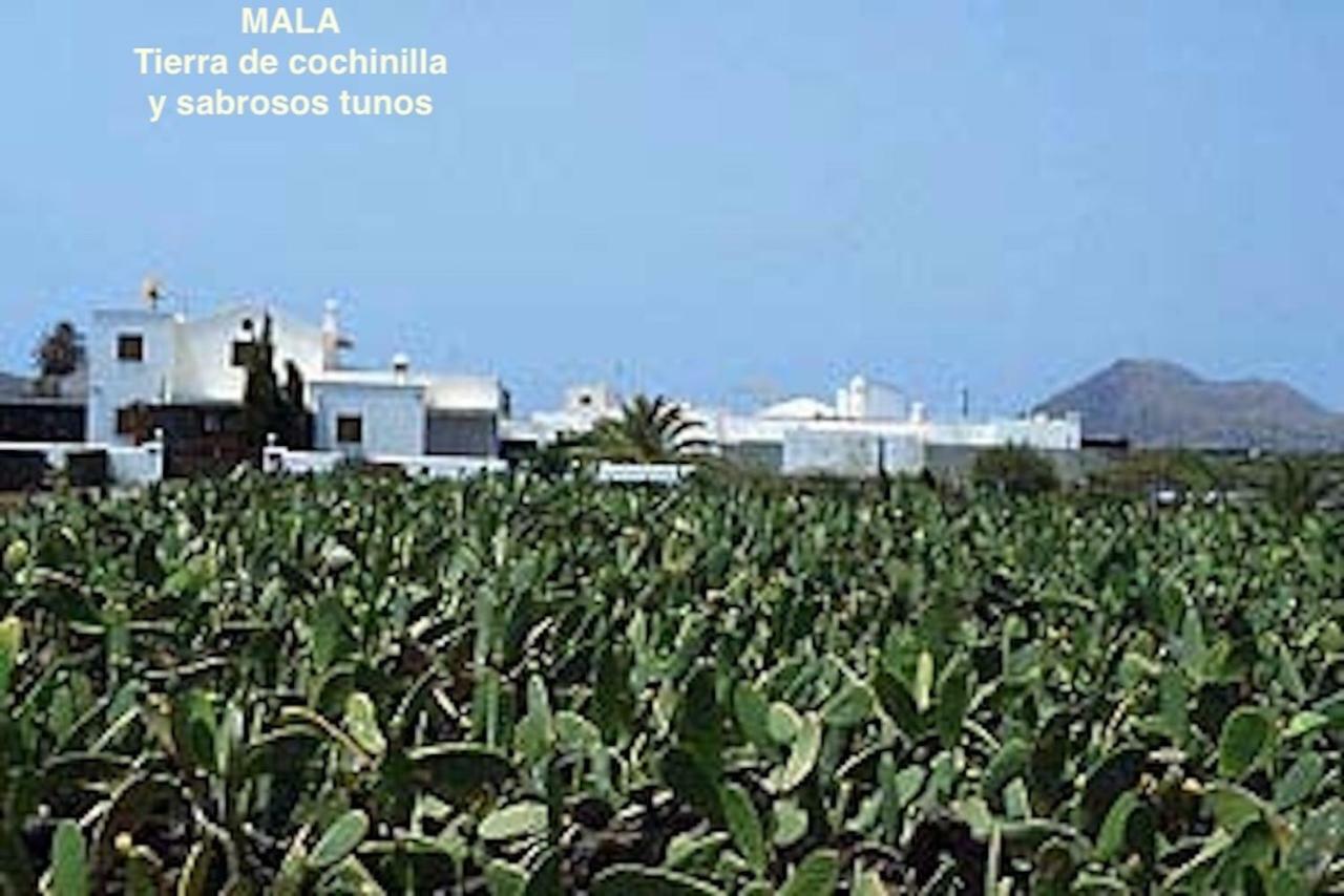 Casa "Gara" Mala-Lanzarote Norte Exterior foto